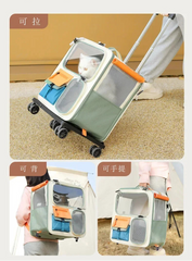 Small Pet Carrier Backpack