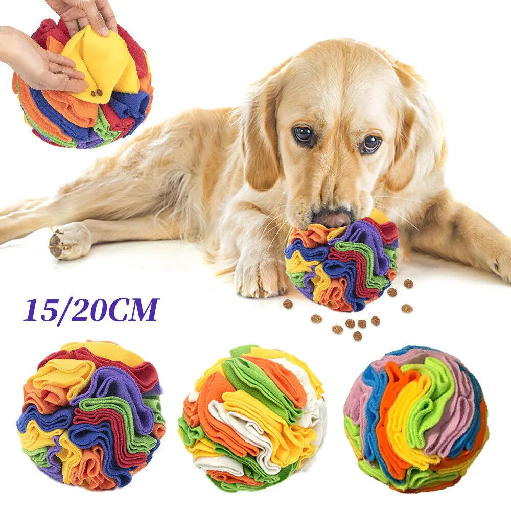 Sniffing Dog Ball
