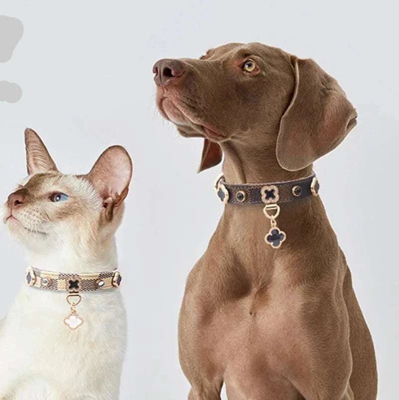 Lucky Clover Luxury Cat & Dog Collar