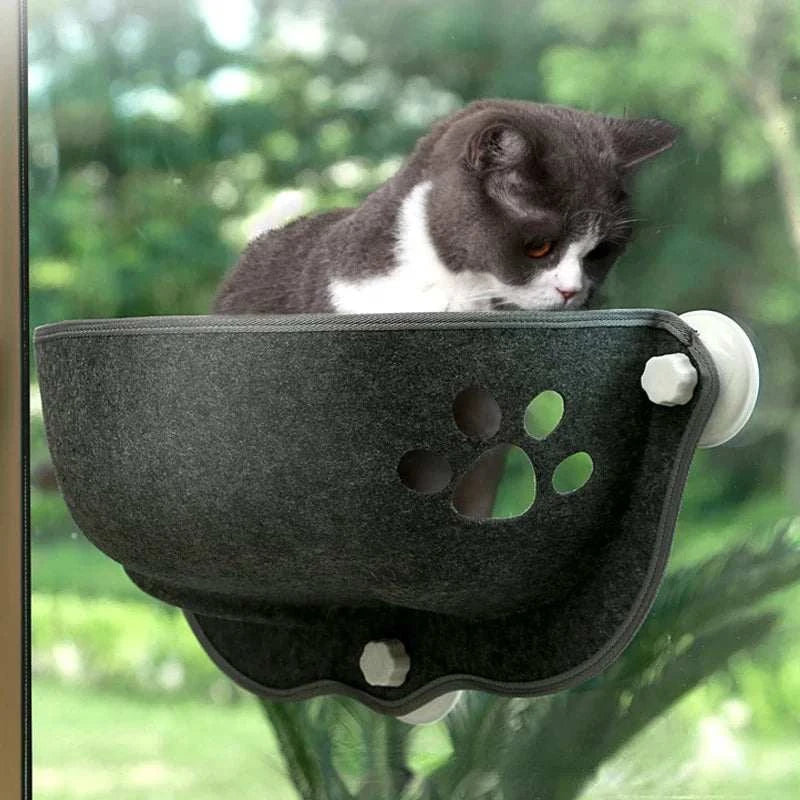 Cat Window Hammock