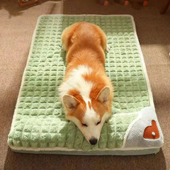 Pet soft Mat