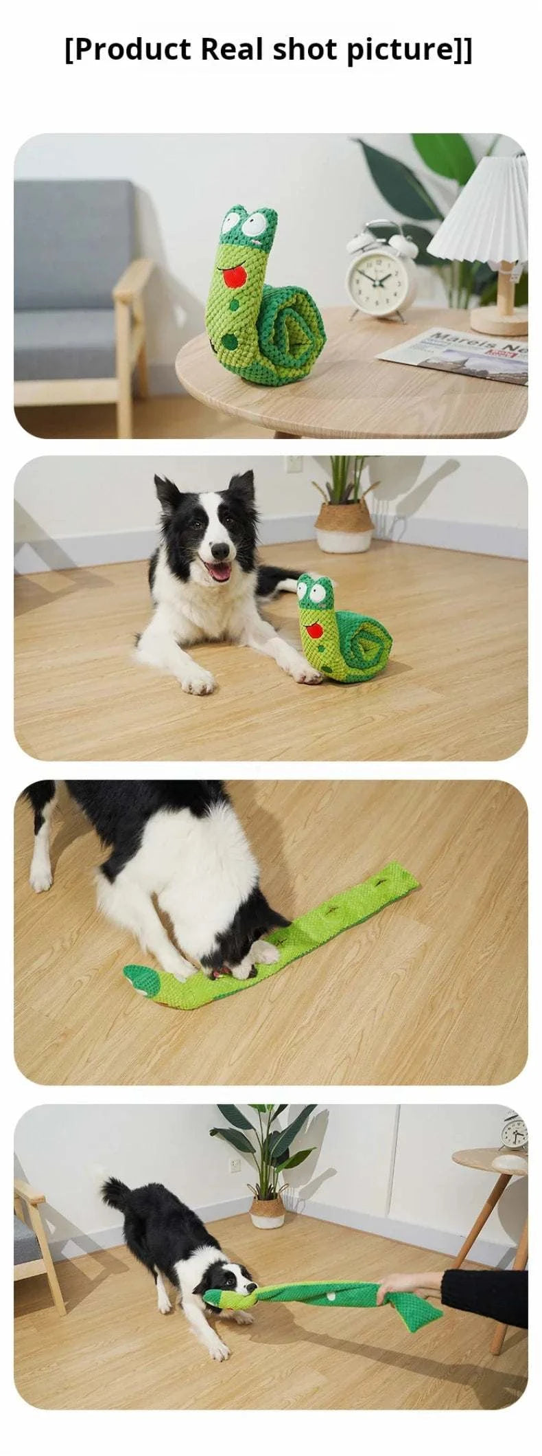 Snail-Shaped Treat Dispenser Toy