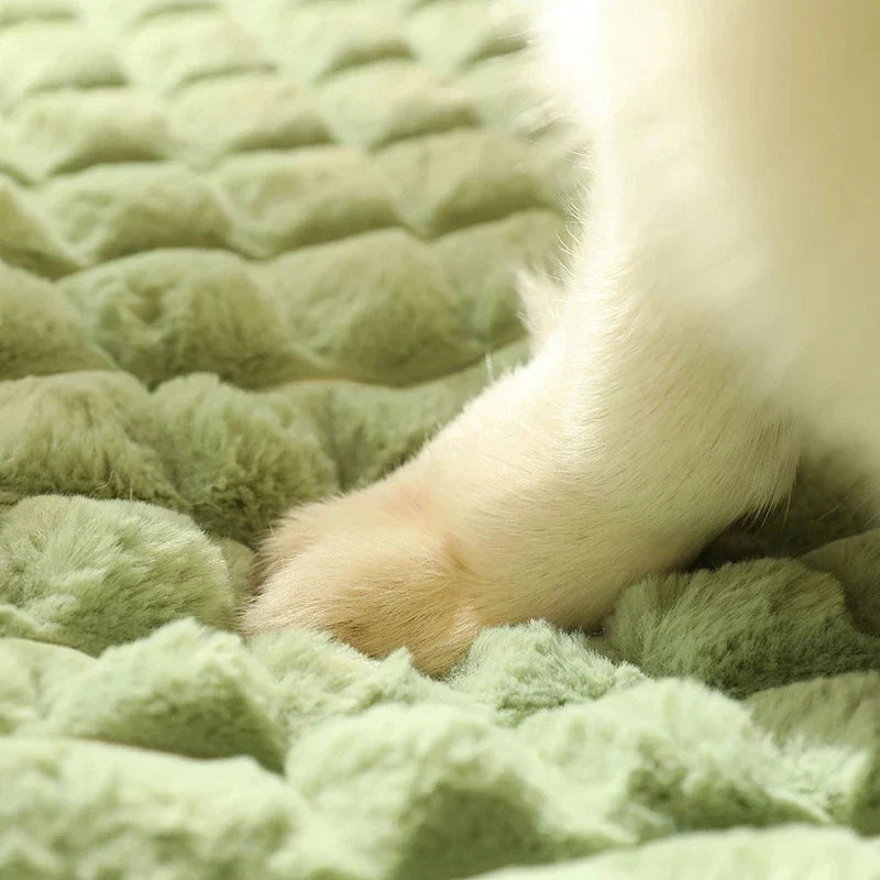Pet soft Mat
