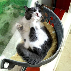 Cat Window Hammock
