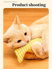 Teeth Grinding Catnip Fish Toy