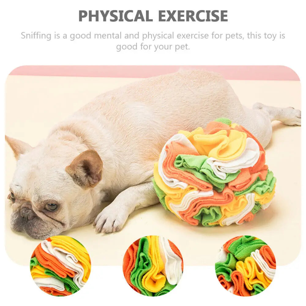 Sniffing Dog Ball