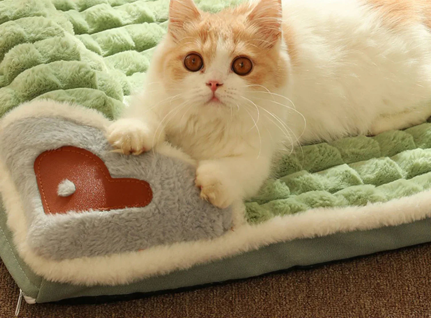 Pet soft Mat