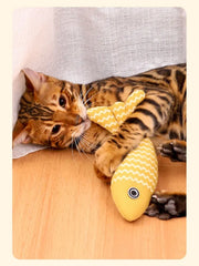 Teeth Grinding Catnip Fish Toy