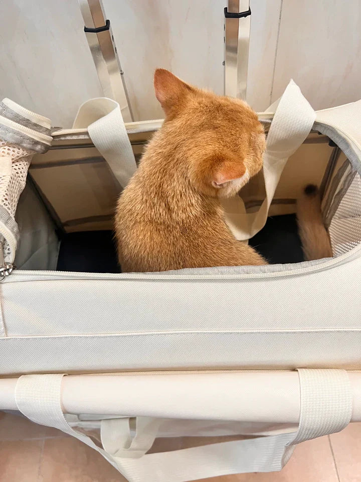Pet Trolley