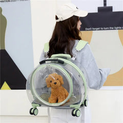 Pet Trolley Carrier
