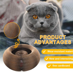 Magic Organ Cat Toy Scratcher