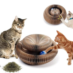 Magic Organ Cat Toy Scratcher