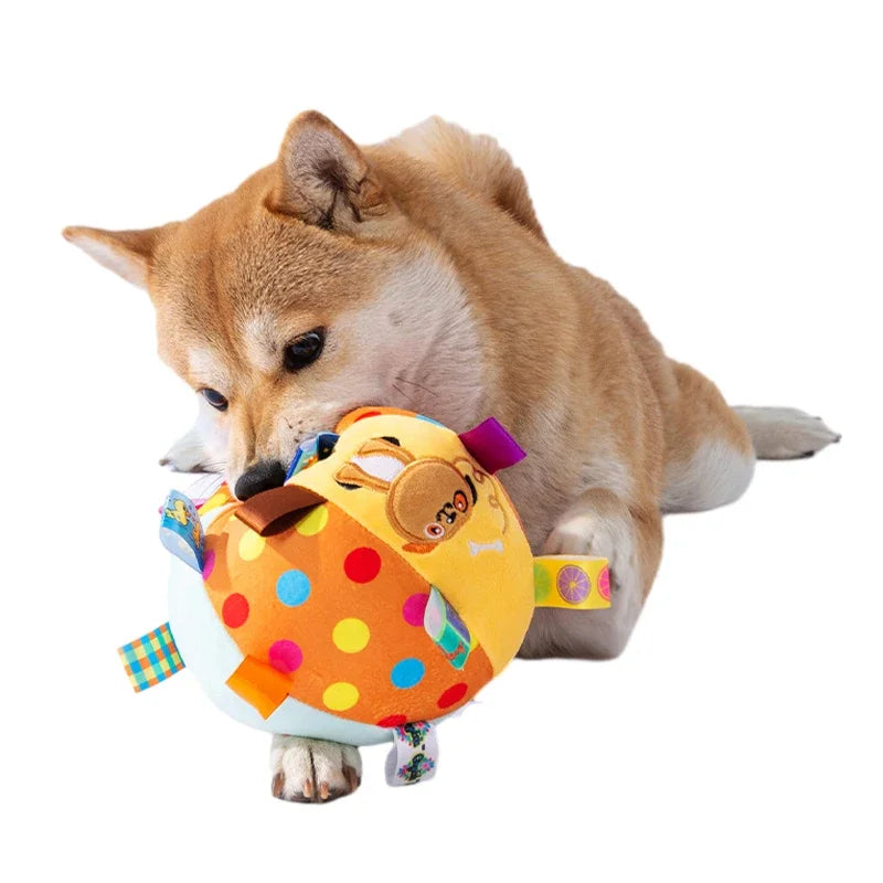Interactive Ball  with Plush Handle & Bells