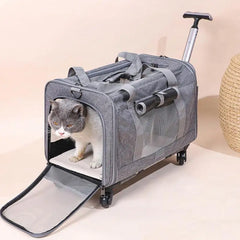Large Portable Pet Trolley