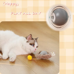Interactive Cat Toy Ball