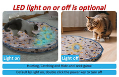 Interactive Cat Toy Ball
