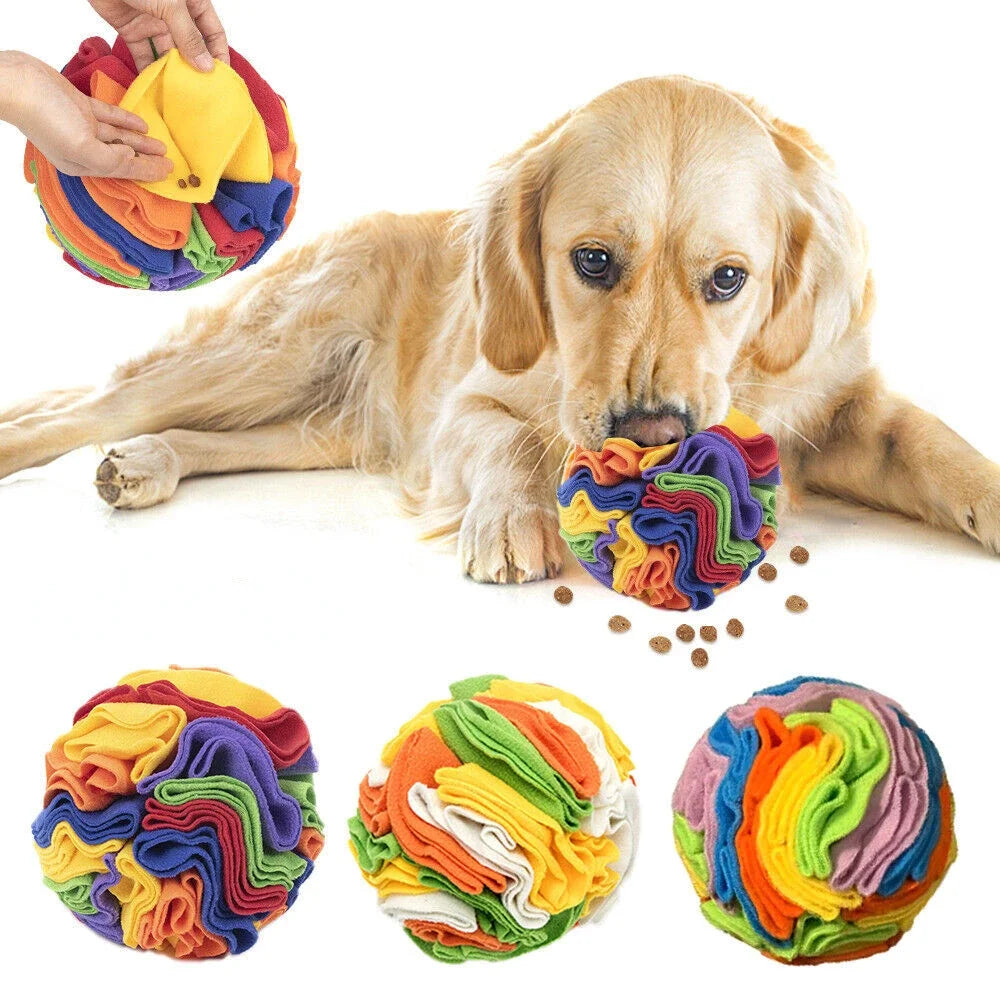 Sniffing Dog Ball