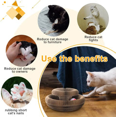 Magic Organ Cat Toy Scratcher