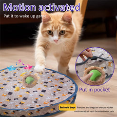 Interactive Cat Toy Ball