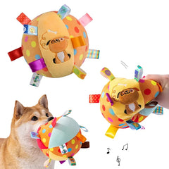 Interactive Ball  with Plush Handle & Bells