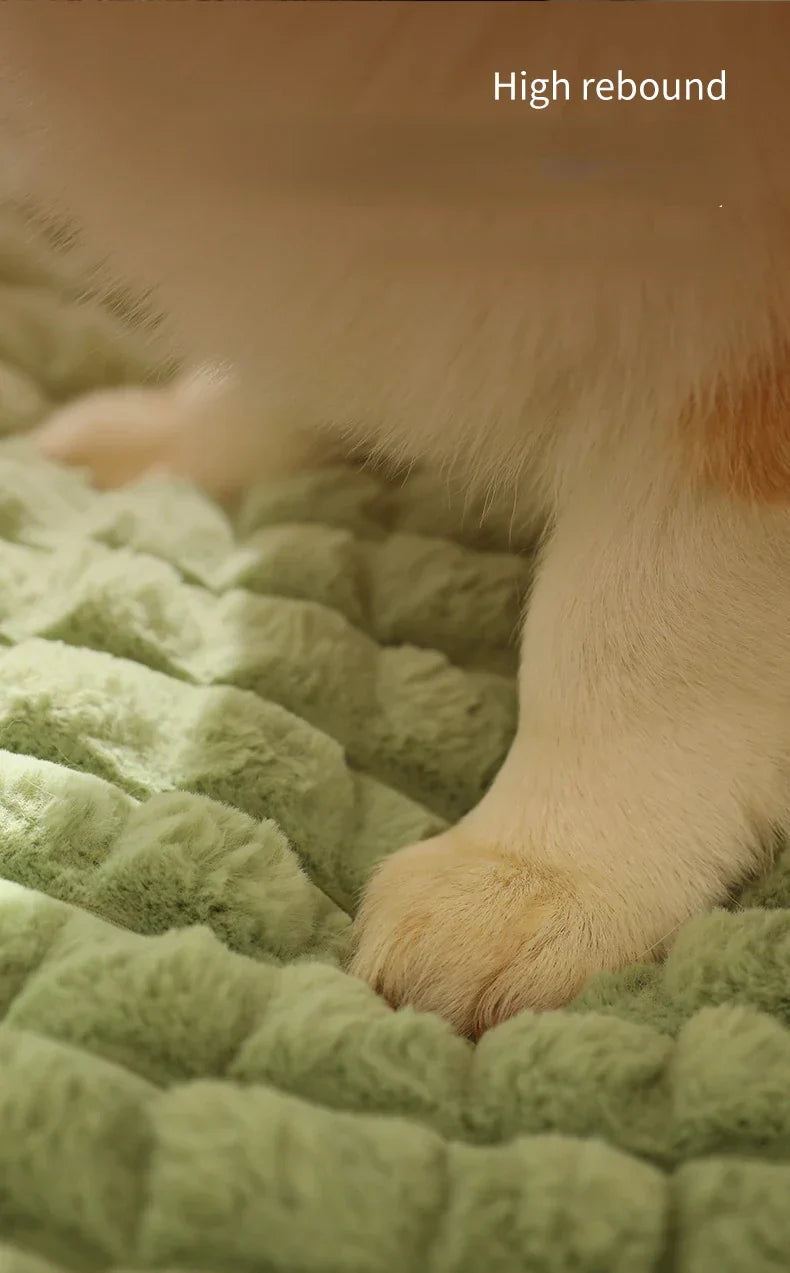 Pet soft Mat