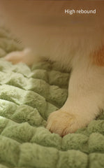 Pet soft Mat