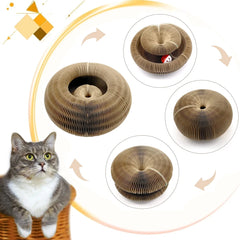 Magic Organ Cat Toy Scratcher