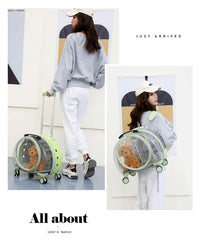 Pet Trolley Carrier