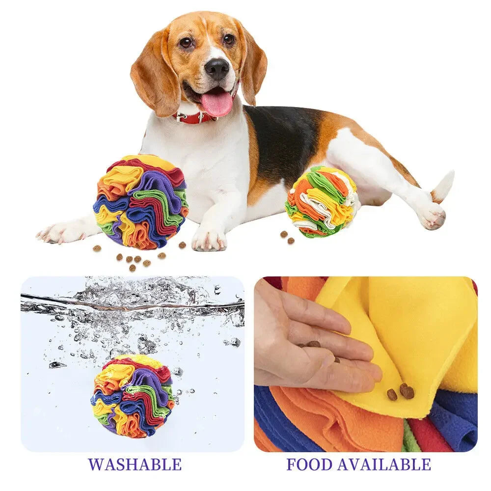 Sniffing Dog Ball