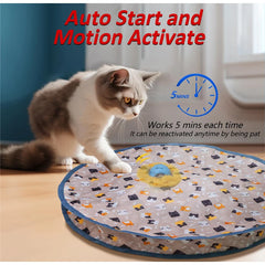 Interactive Cat Toy Ball