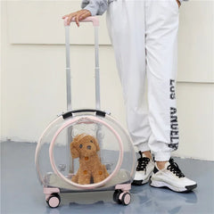 Pet Trolley Carrier