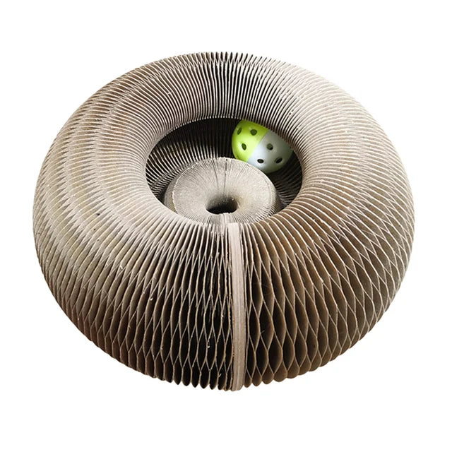 Magic Organ Cat Toy Scratcher