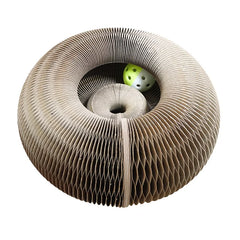Magic Organ Cat Toy Scratcher