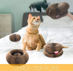 Magic Organ Cat Toy Scratcher